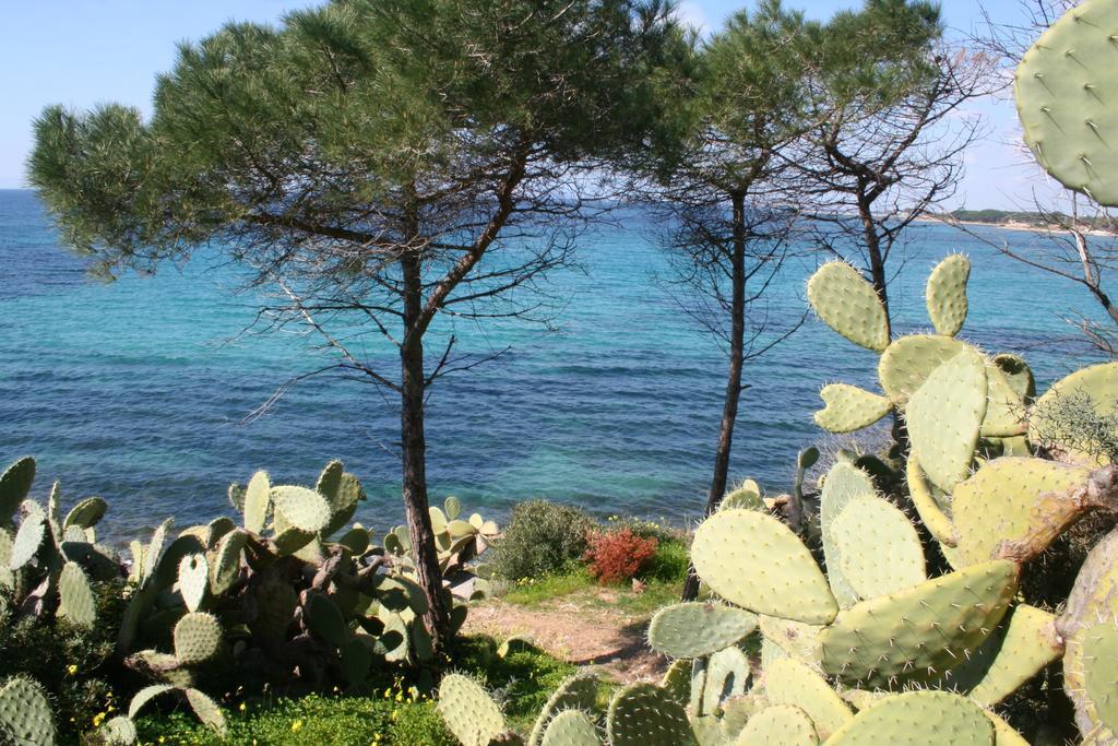 Villa Gangdigiorgia Capitana Esterno foto